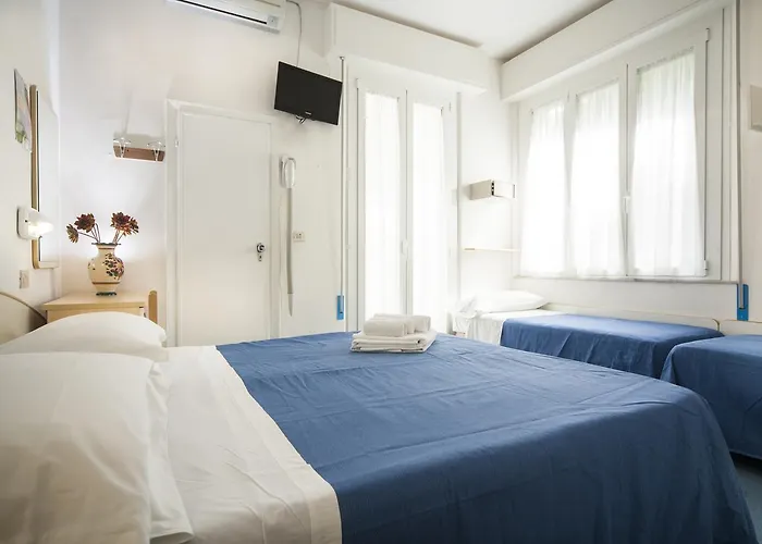 Erika Hotel Rimini
