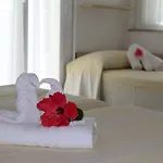 Ξενοδοχείο Erika 3*