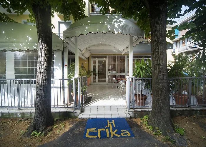 Erika ريميني